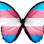 Trans-flag-butterfly-800x400w