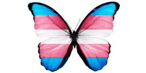 Trans-flag-butterfly-800x400w Trans-flag-butterfly-800x400w